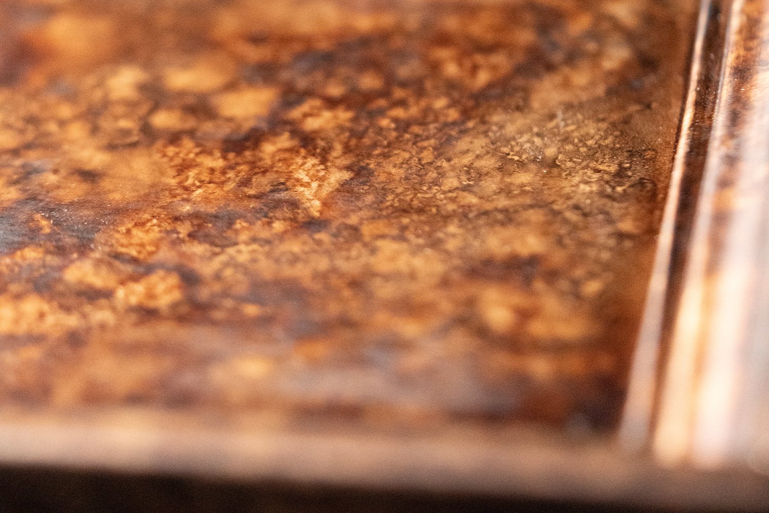 Tortoise Shell Wide Shot Close Up Tortoise Shell Wide Shot Close Up